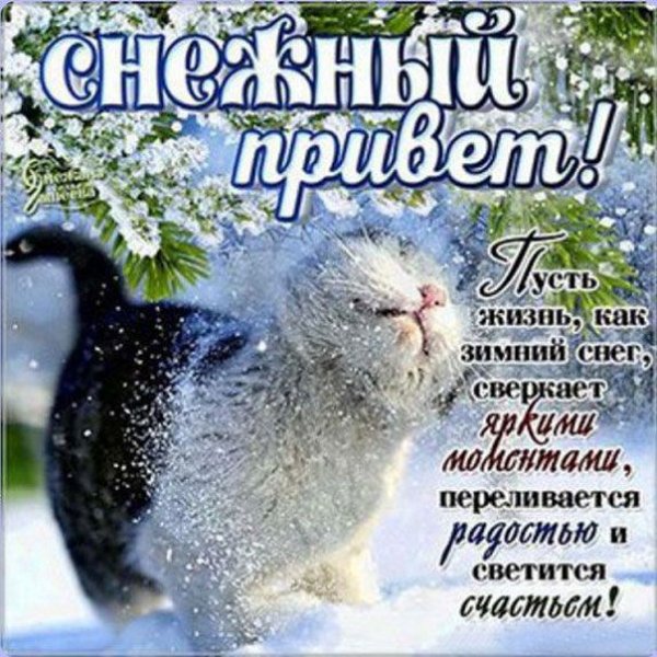 Открытки хорошего зимнего настроения