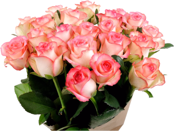 Букет розовых роз