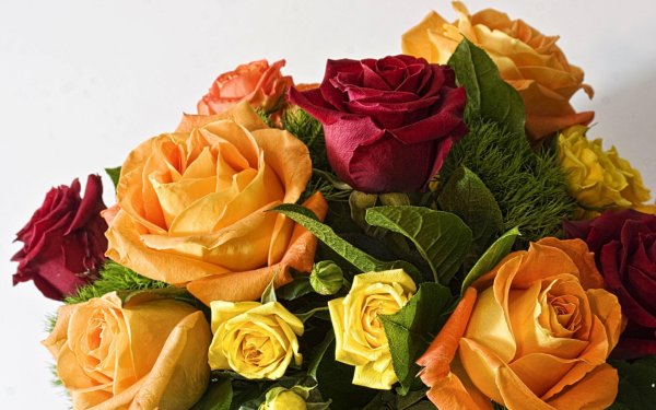 Открытки с букетами цветов красивые