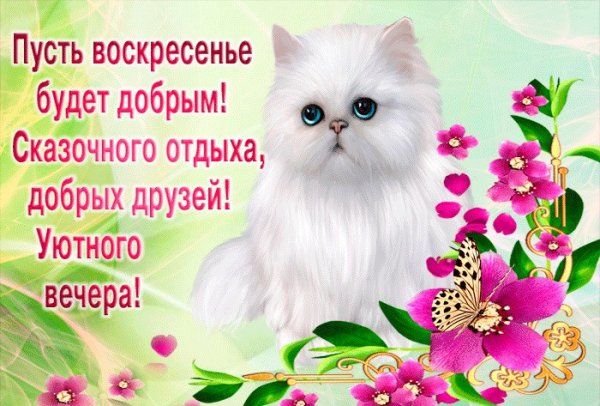 Открытки поздравления с воскресеньем