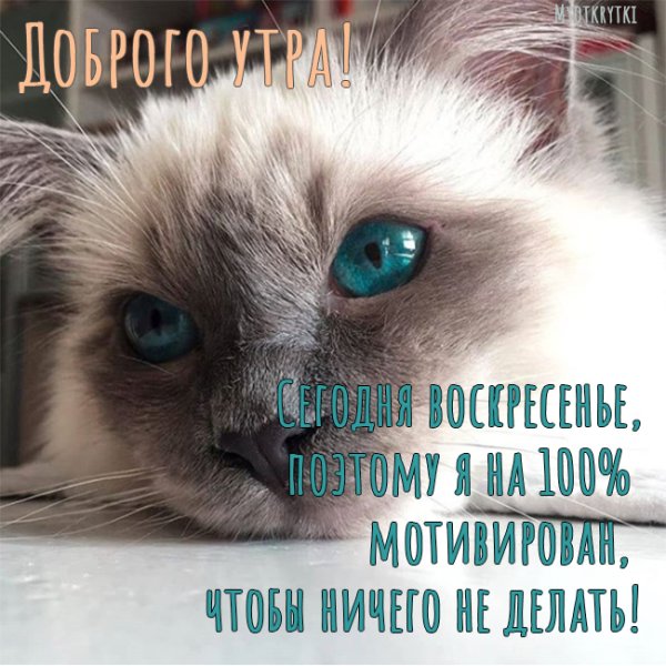 Добро утро воскресенье