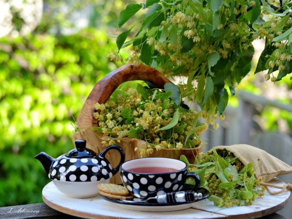 Летнее чаепитие в саду