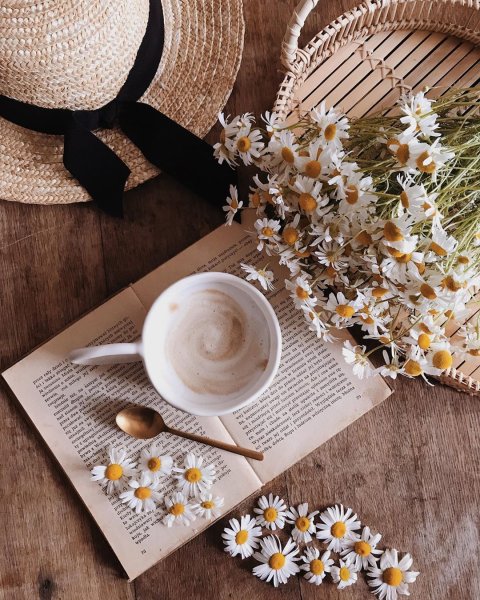 Букет ромашек и кофе