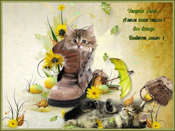 Открытки хорошего настроения старинные