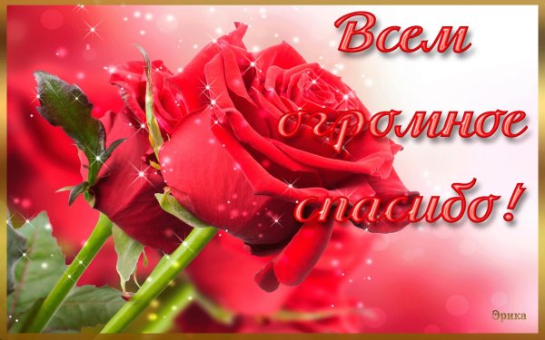 Открытки спасибо большое