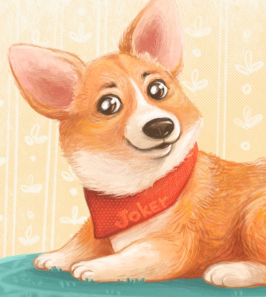 Корги с днем рождения