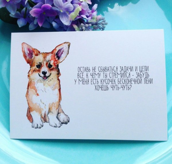 Открытка с корги