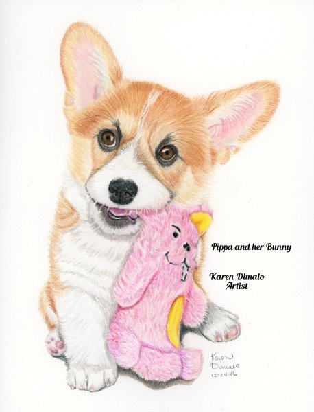 Корги с днем рождения