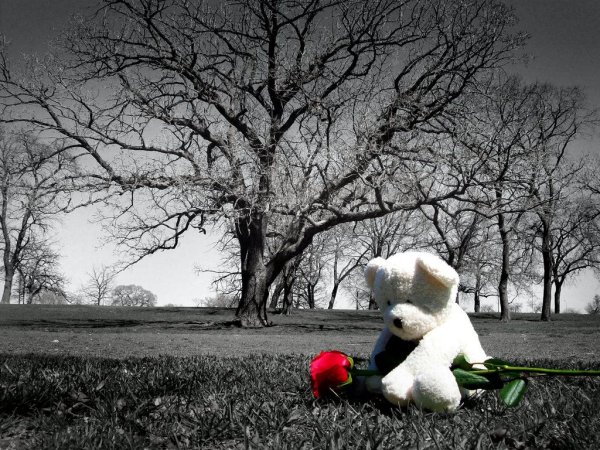 Грусть мишка