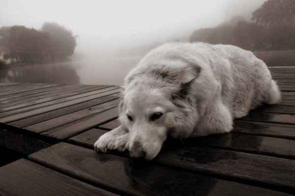 Очень грустно на душе