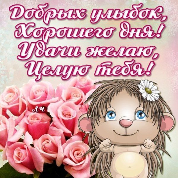 Добрый день сестренка