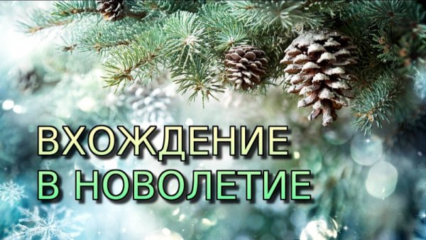 С Новолетием