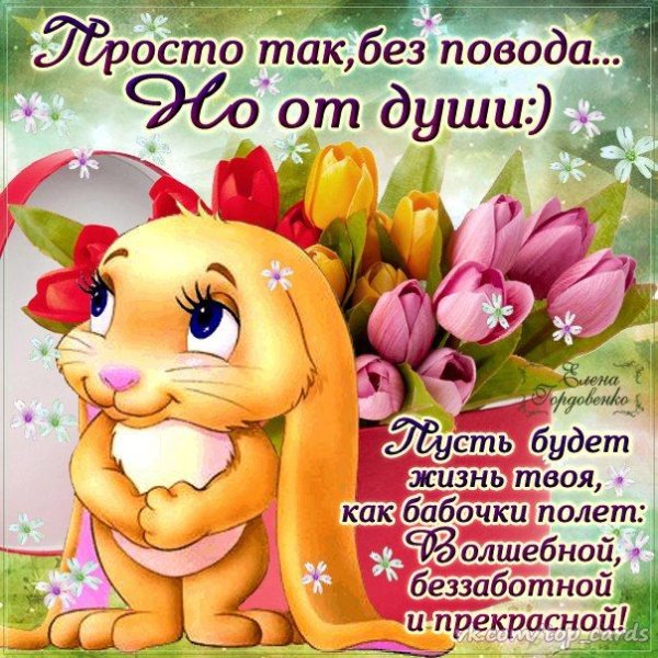 Поздравления без повода