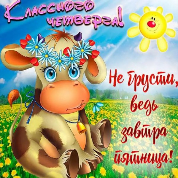 Доброе утро четверга