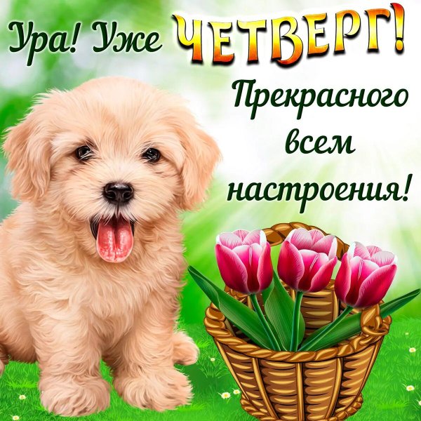 Поздравления с четвергом прикольные