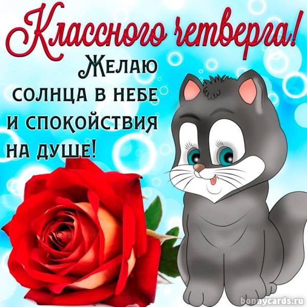 Доброе утро четверга