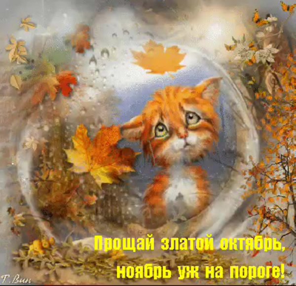 Открытки с последним днем октября