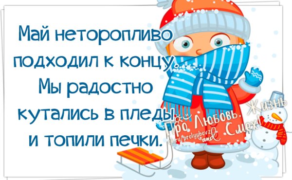 Кот в шапке зимой