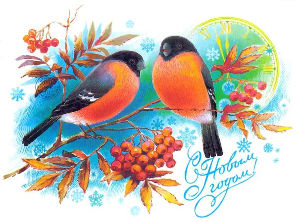 Новогодние открытки с птичками