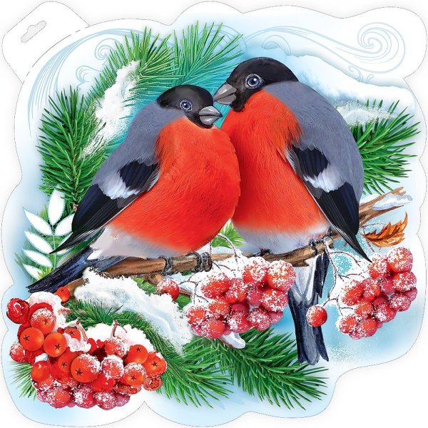 Снегирь рисунок