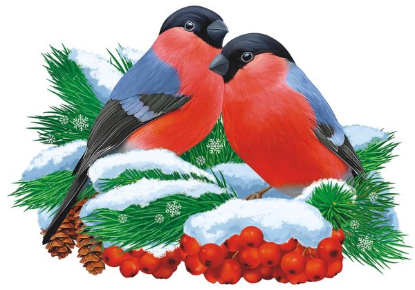 Новогодний плакат со снегирем