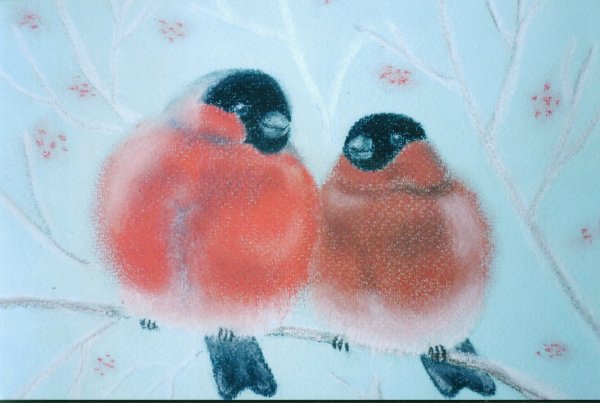 Открытки милые со снегирем