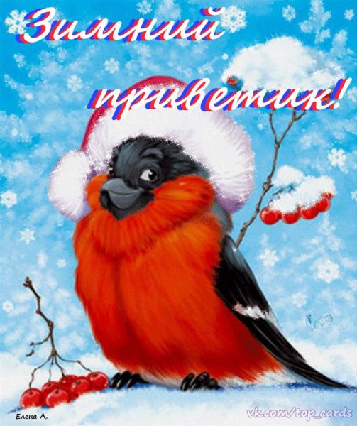 Открытки со снегирями зимой