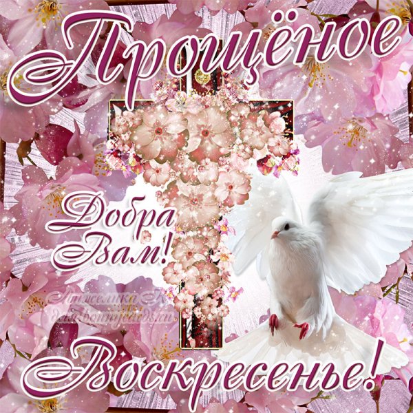 Прощеное воскресенье