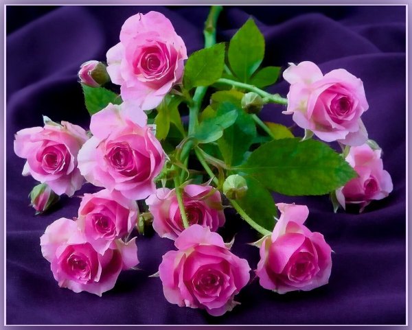 Открытки с цветами