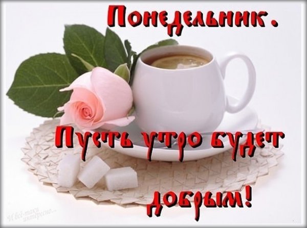 Стдньным утром понедельника