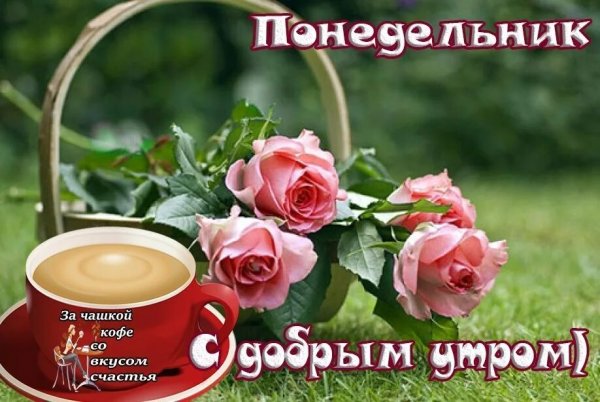 Доброе утро удачной недели