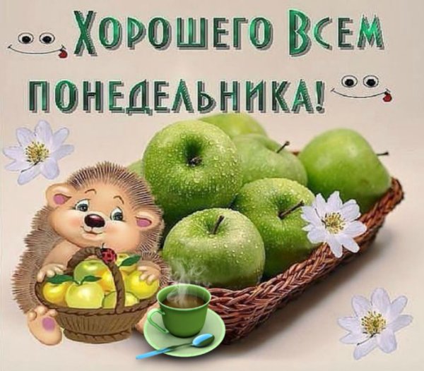 С добрым УТРОМУТРОМ понедельник