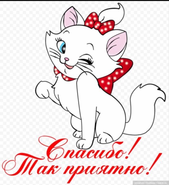 Спасибоза поздравленич