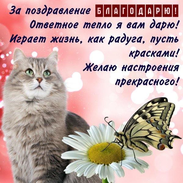 Спасибо большое за поздравления