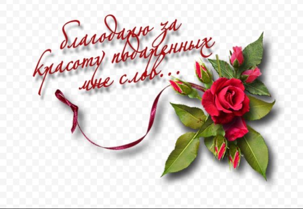 Спасибо всем за поздравления