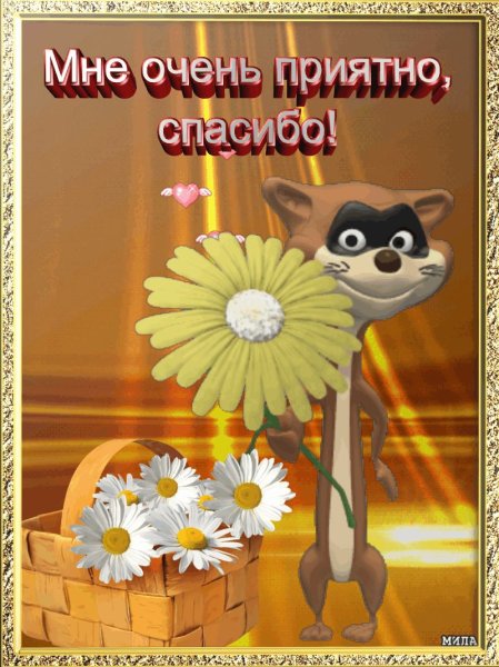 Спасибо за поздравления друзья