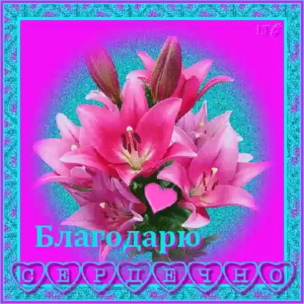 Благодарю за подарок