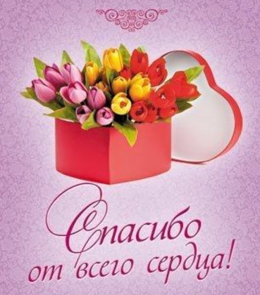 Спасибо от всего сердца