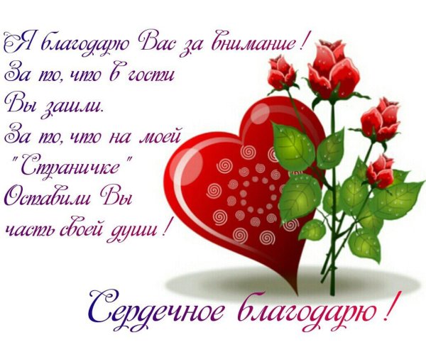Сердечное спасибо за поздравления