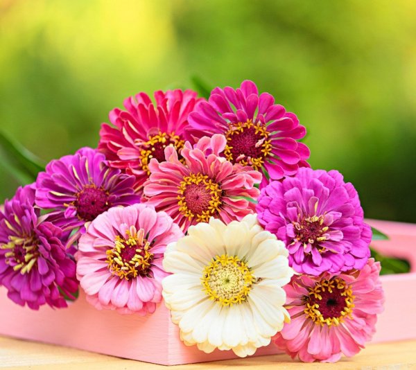 Поздравления с днём рождения женщине красивые сестре