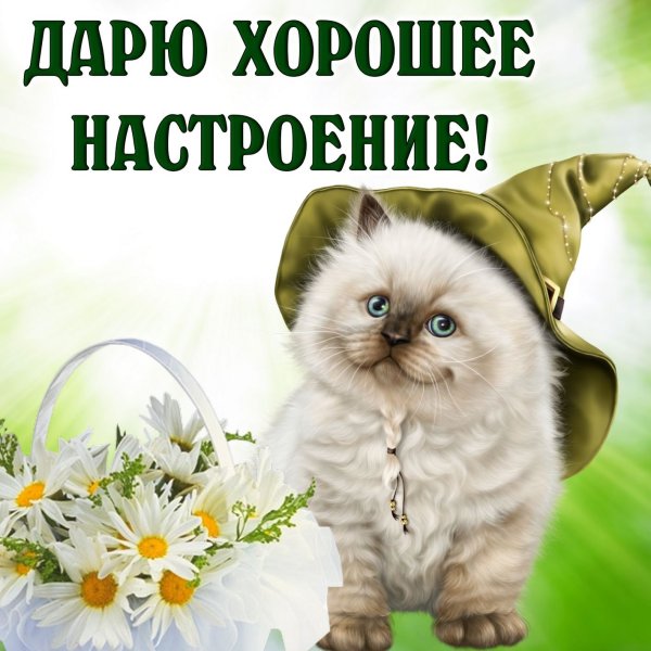 Позитивчик для хорошего настроения