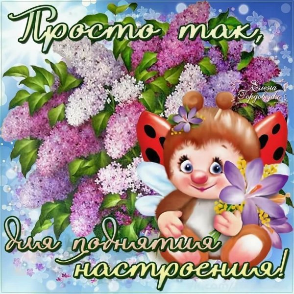 Пожелания доброго дня