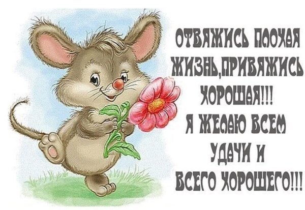 Открытки для поднятия настроения улыбнись