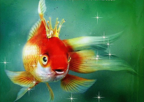 Золотая рыбка исполнение желаний