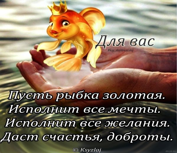 Золотая рыбка исполнение желаний