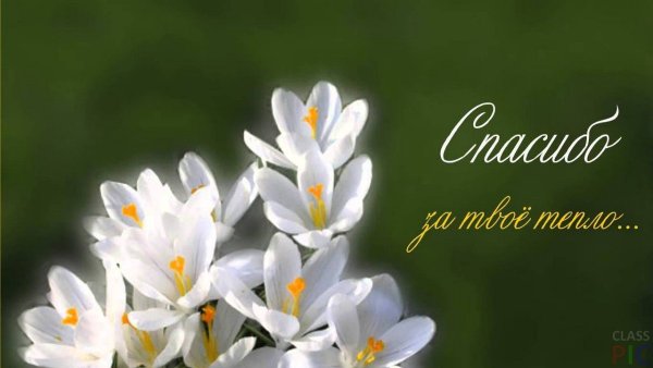 Спасибо за приглашение