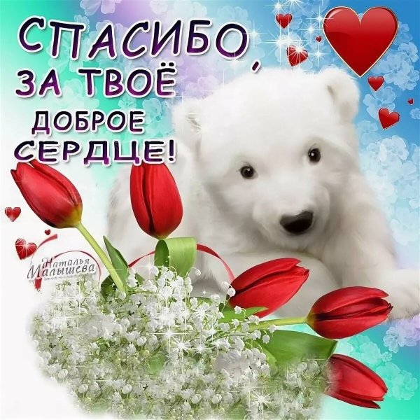 Благодарность за гостеприимство