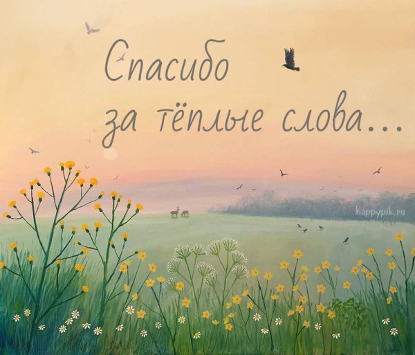 Спасибо за помощь