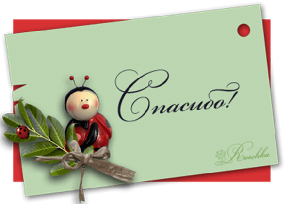 Сердечное спасибо