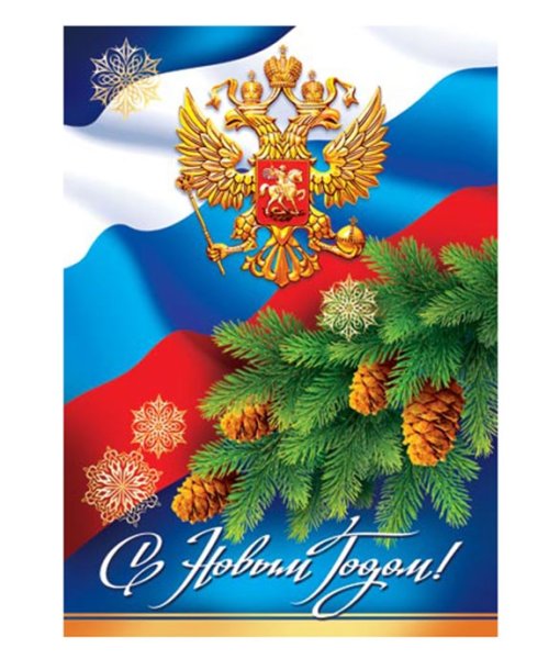 С новым годом плгранич